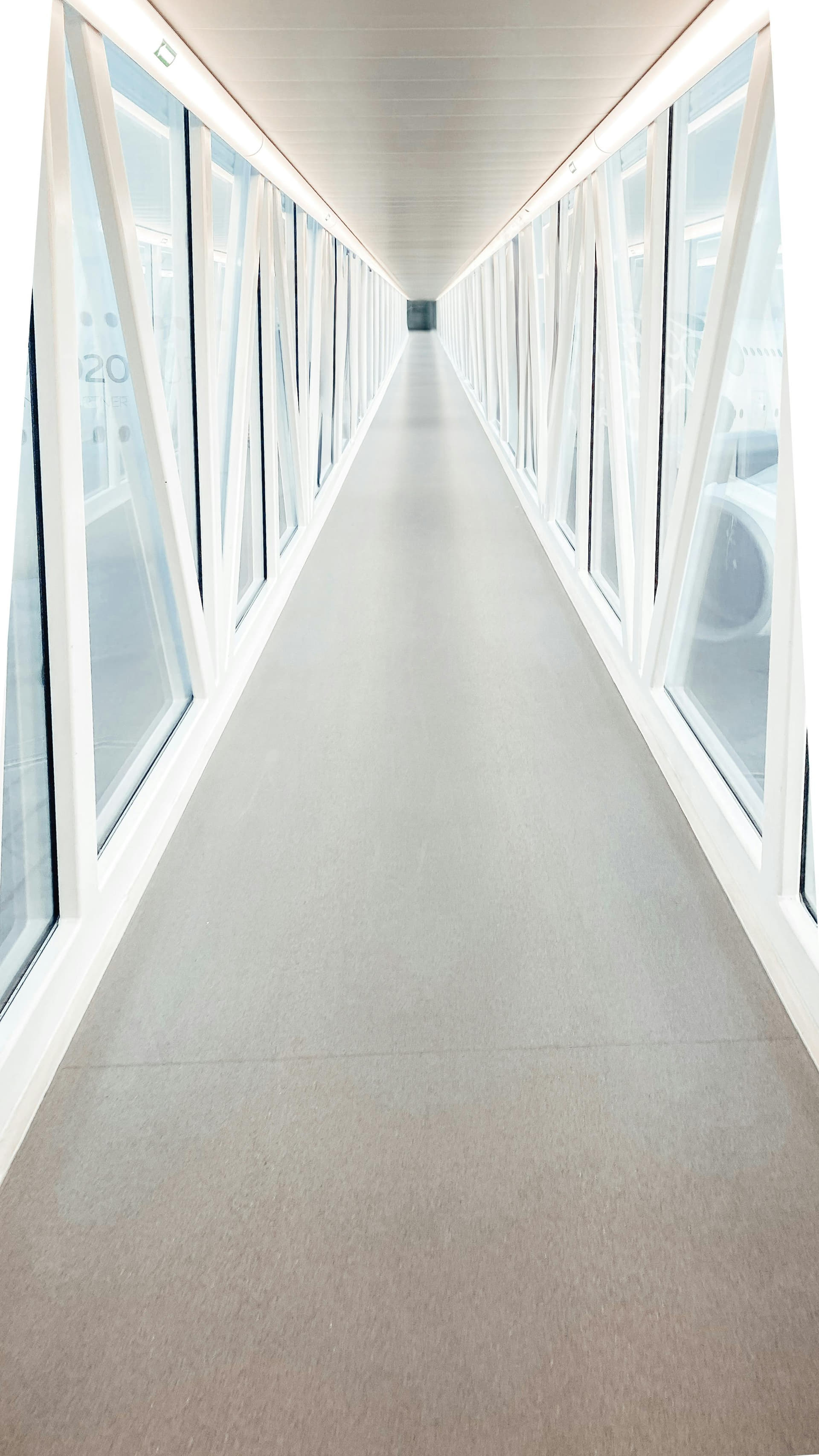 Gallery 6